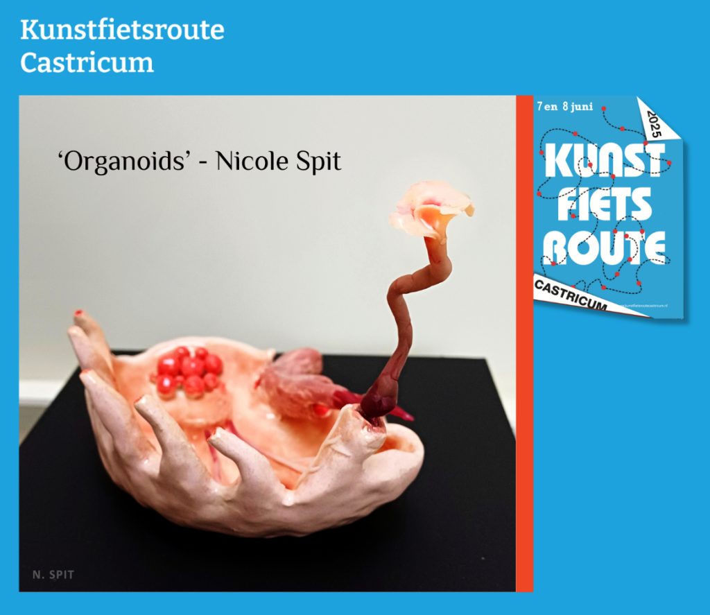 Kunstfietsroute castricum met de open tuinkamergalerie van Nicole Spit. Met 'Organoids'.